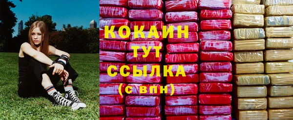 ГАЛЛЮЦИНОГЕННЫЕ ГРИБЫ Зеленодольск
