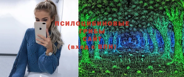 ГАЛЛЮЦИНОГЕННЫЕ ГРИБЫ Зеленодольск