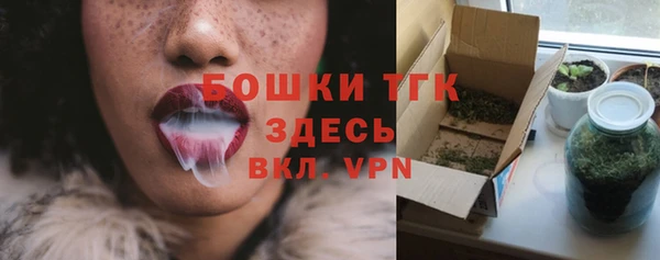 мдпв Иннополис