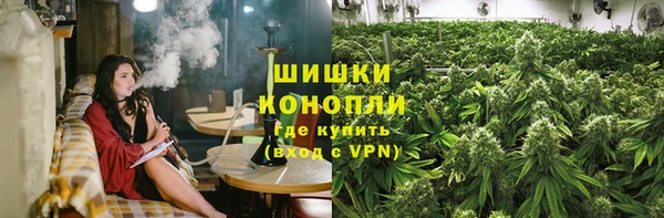 ГАЛЛЮЦИНОГЕННЫЕ ГРИБЫ Зеленодольск