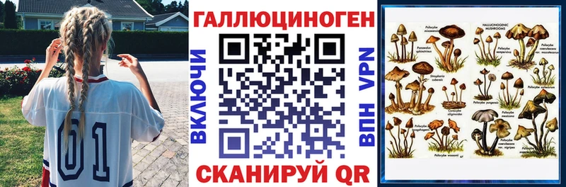 Галлюциногенные грибы GOLDEN TEACHER купить закладку Истра
