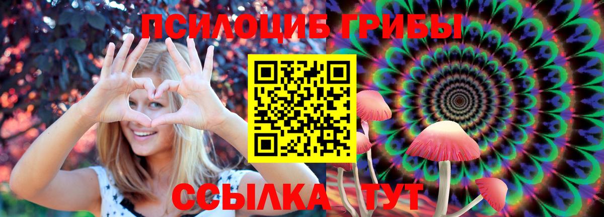 Истра  Псилоцибиновые грибы ЛСД  Вход с VPN 